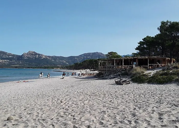 Apartment Victoria *